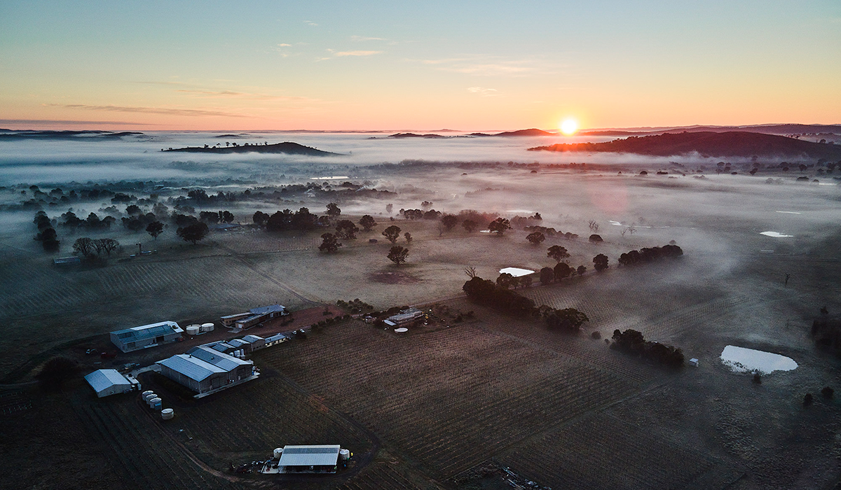 Clonakilla winery and vineyard drone view