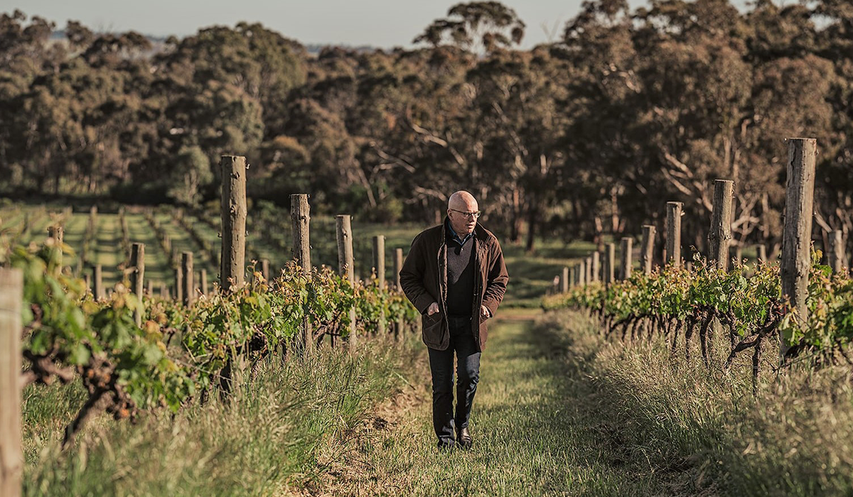 Jeff in the vineyard