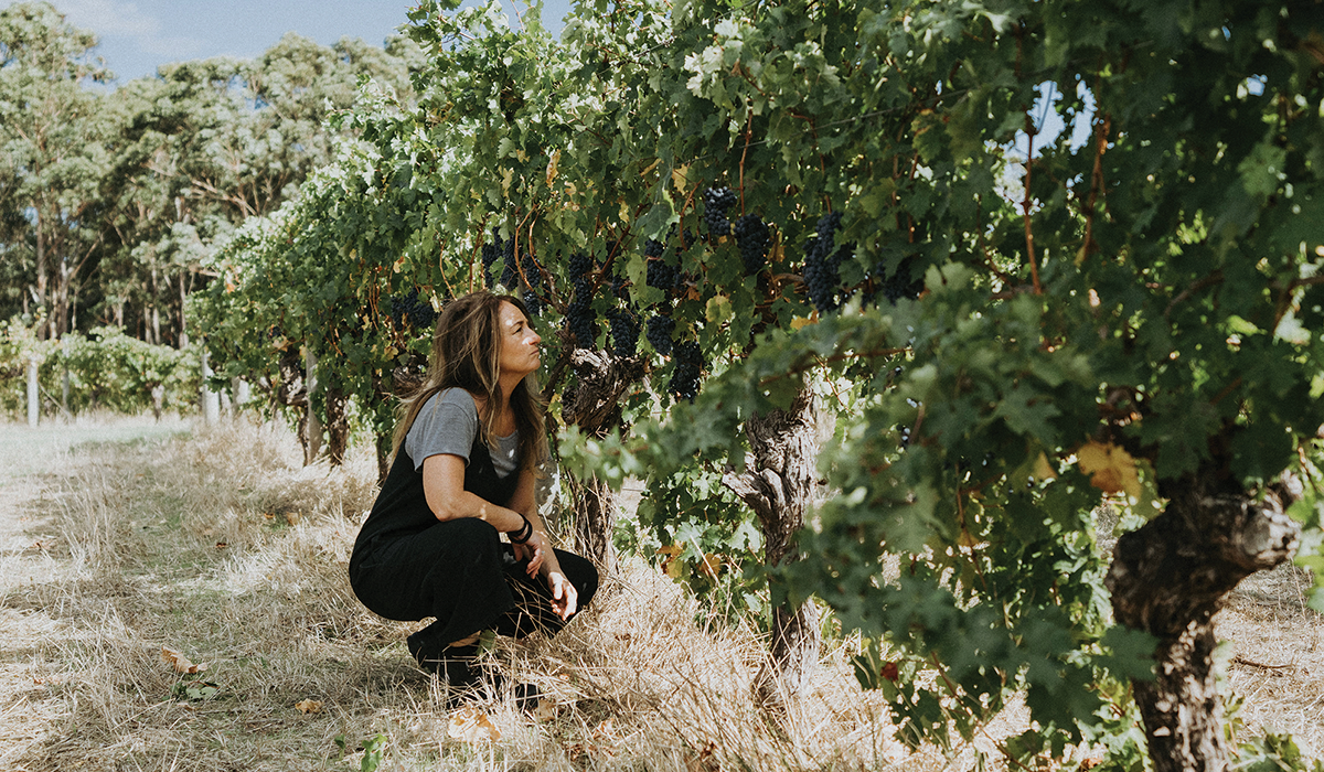 Virginia in the vineyard