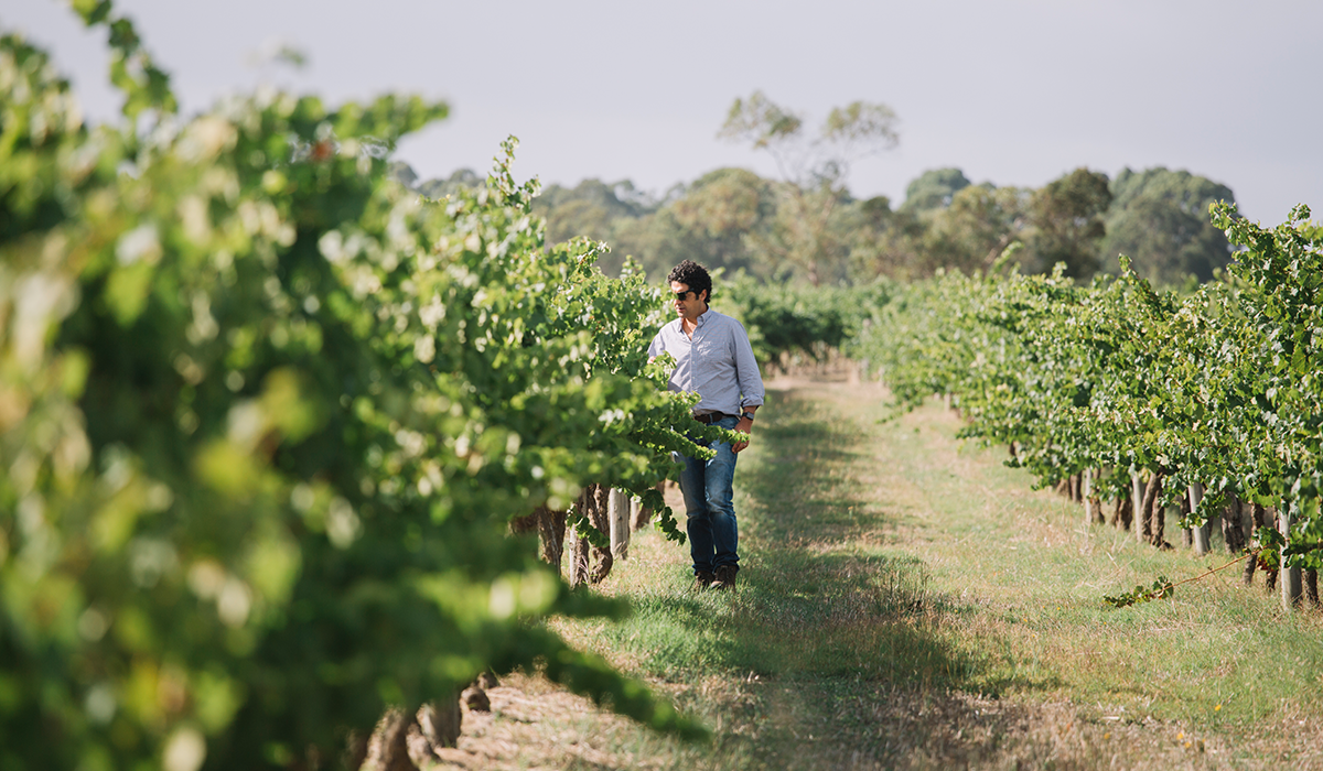 Larry Cherubino in the vineyard