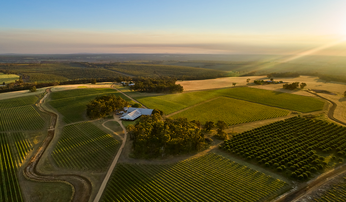 Frankland Estate drone view