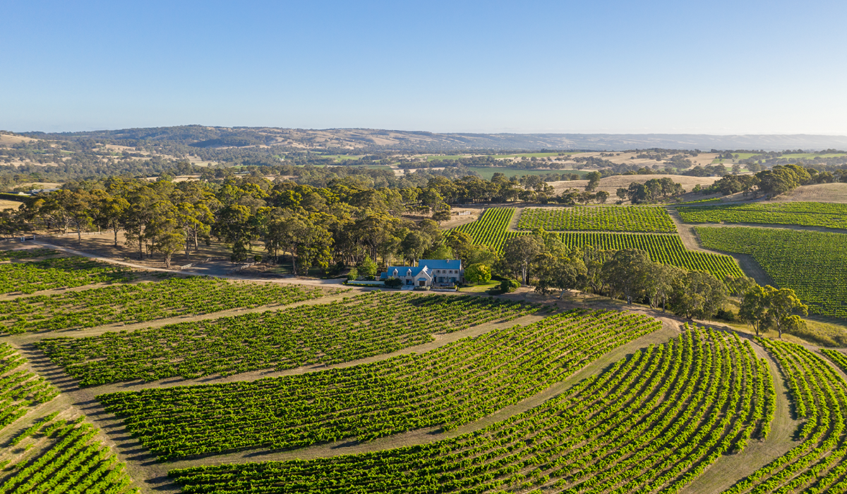 Hickinbotham vineyard and estate drone view