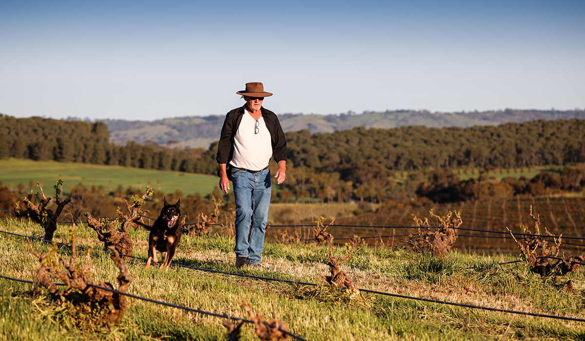 Dave in the vineyard