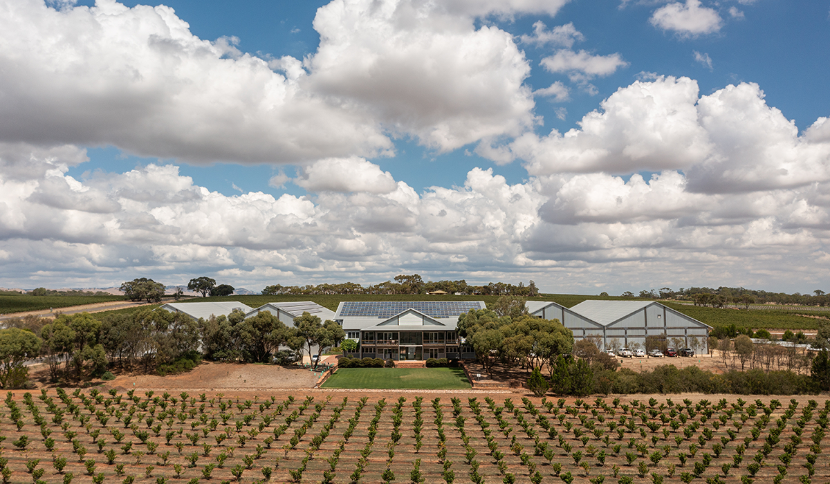 Torbreck winery and vineyard drone view