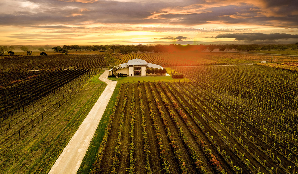 Parker Coonawarra Estate and vineyard drone view