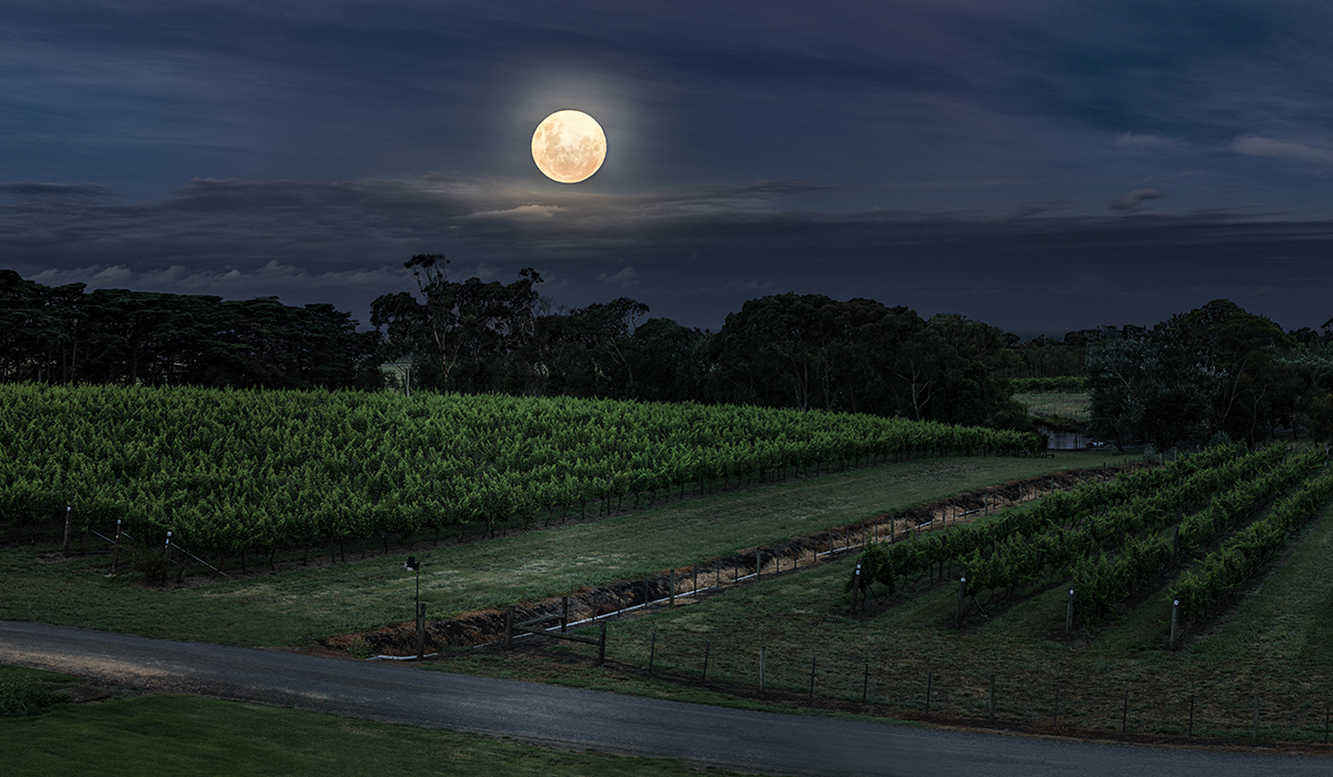 Scotchman's Hill at night with the full moon