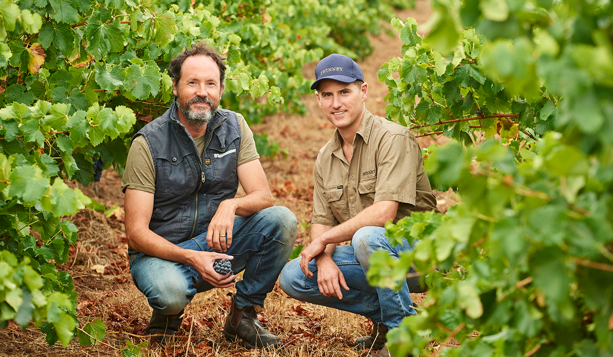 Swinney winemakers