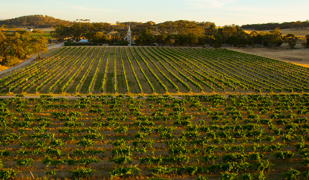 Henschke Hill of Grace