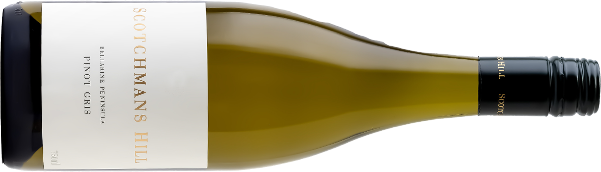 Scotchmans Hill Bellarine Peninsula Pinot Gris 2023 Geelong