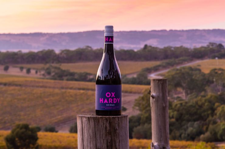 A bottle of Ox Hardy shiraz on a post at sunrise