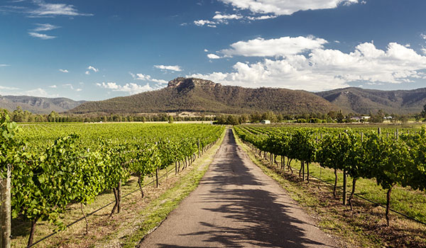 hunter valley