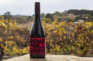 Yalumba Homefullness Grenache 2017 with the vineyard in the back