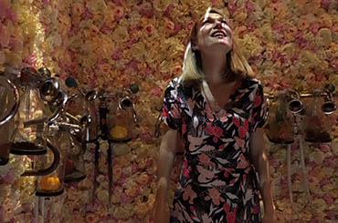 The Halliday Cellar Door TV series