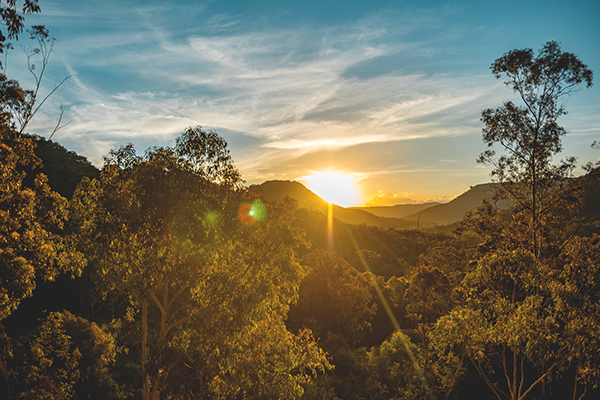 Hunter Valley Ranges 