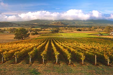 Macedon Ranges wine region - On Tour with Halliday