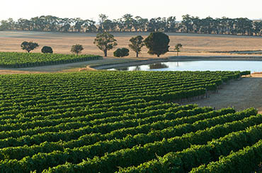Nagambie Lakes Wine Region