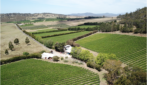 Freycinet Vineyards