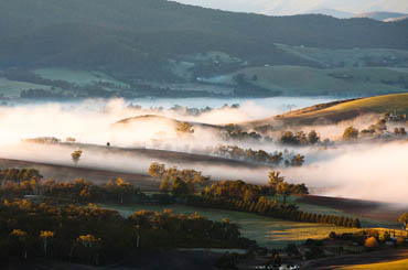 Yarra Valley Wine Region