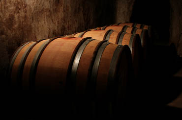 Wine barrels