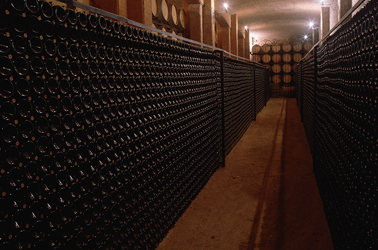 Inside an underground cellar