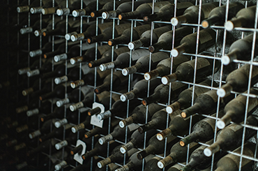 Bottles of wine in a wine rack