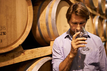 Cellaring campaign - Cabernet Sauvignon and Blends