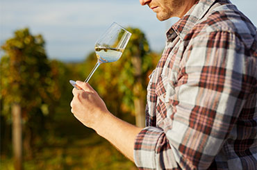 Cellaring campaign - Chardonnay, riesling and semillon