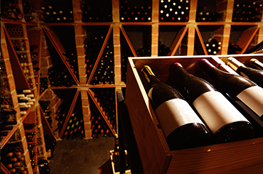 Wine bottles sitting in cellar