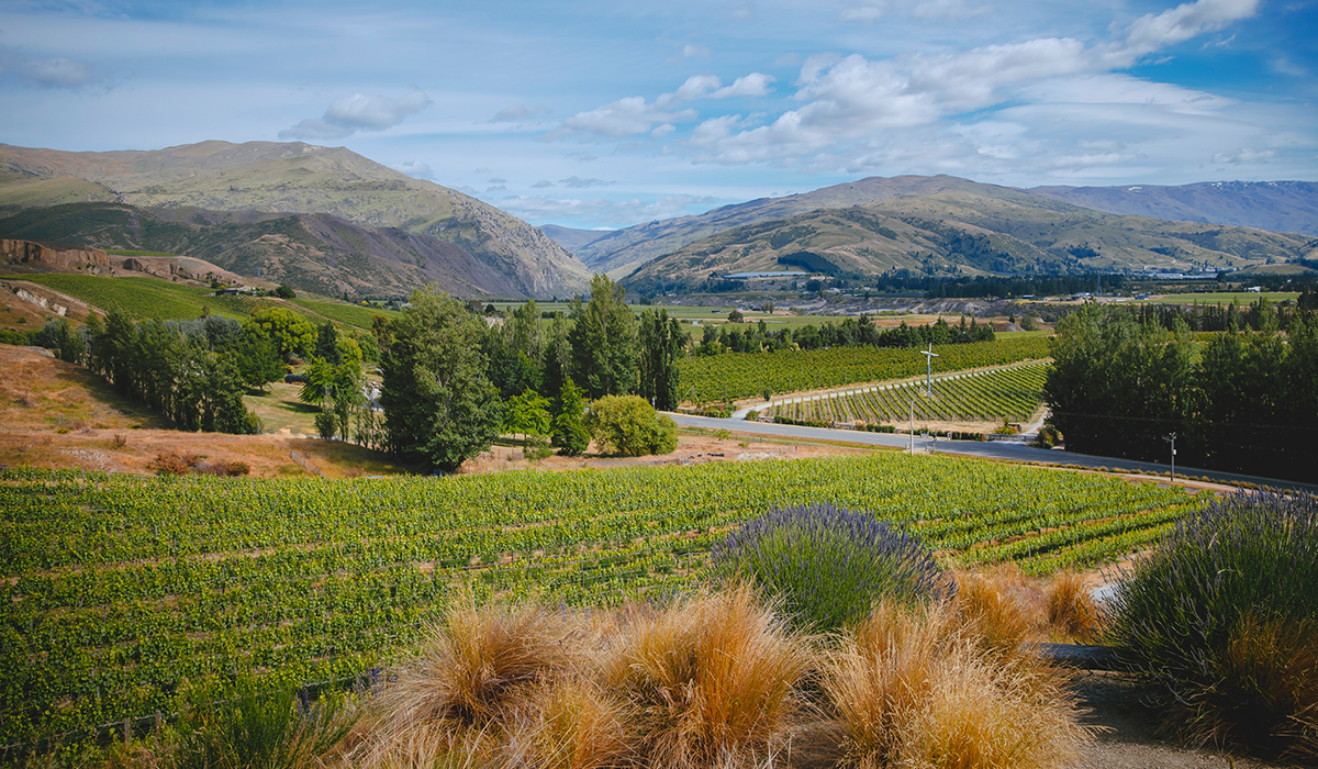 Mt Difficulty, New Zealand