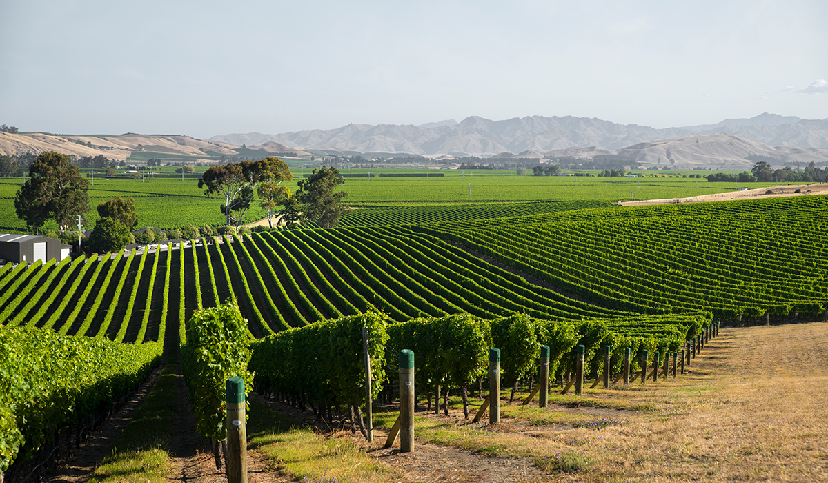 Marlborough, New Zealand