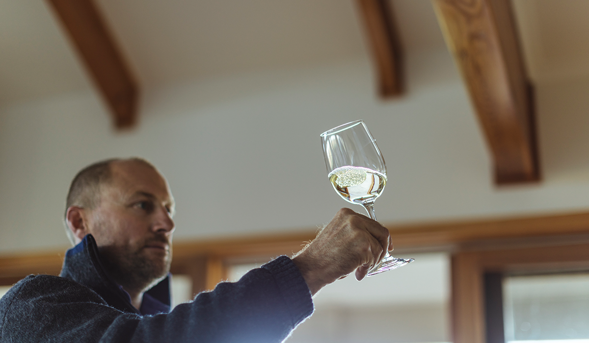 A glass of white wine being held up