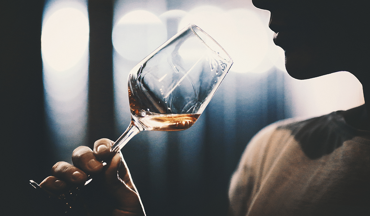 A glass of wine being held up to a mouth