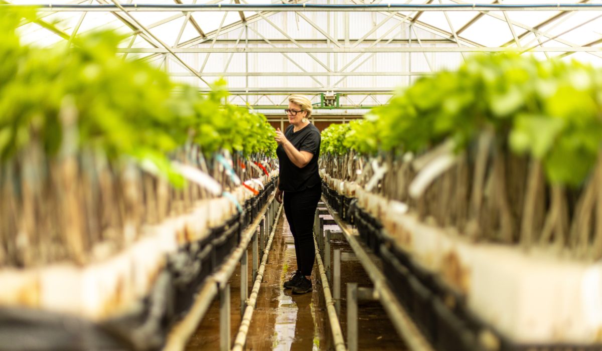 Kim Chalmers in the Chalmers nursery