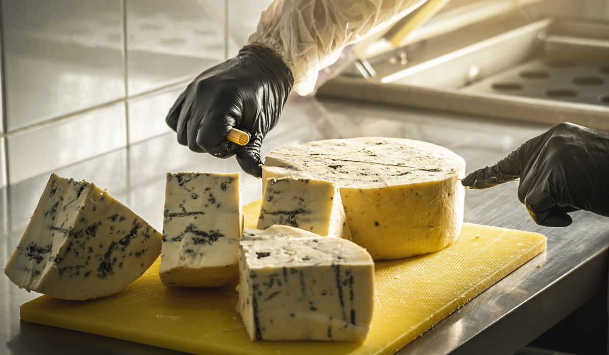 Gorgonzola being cut