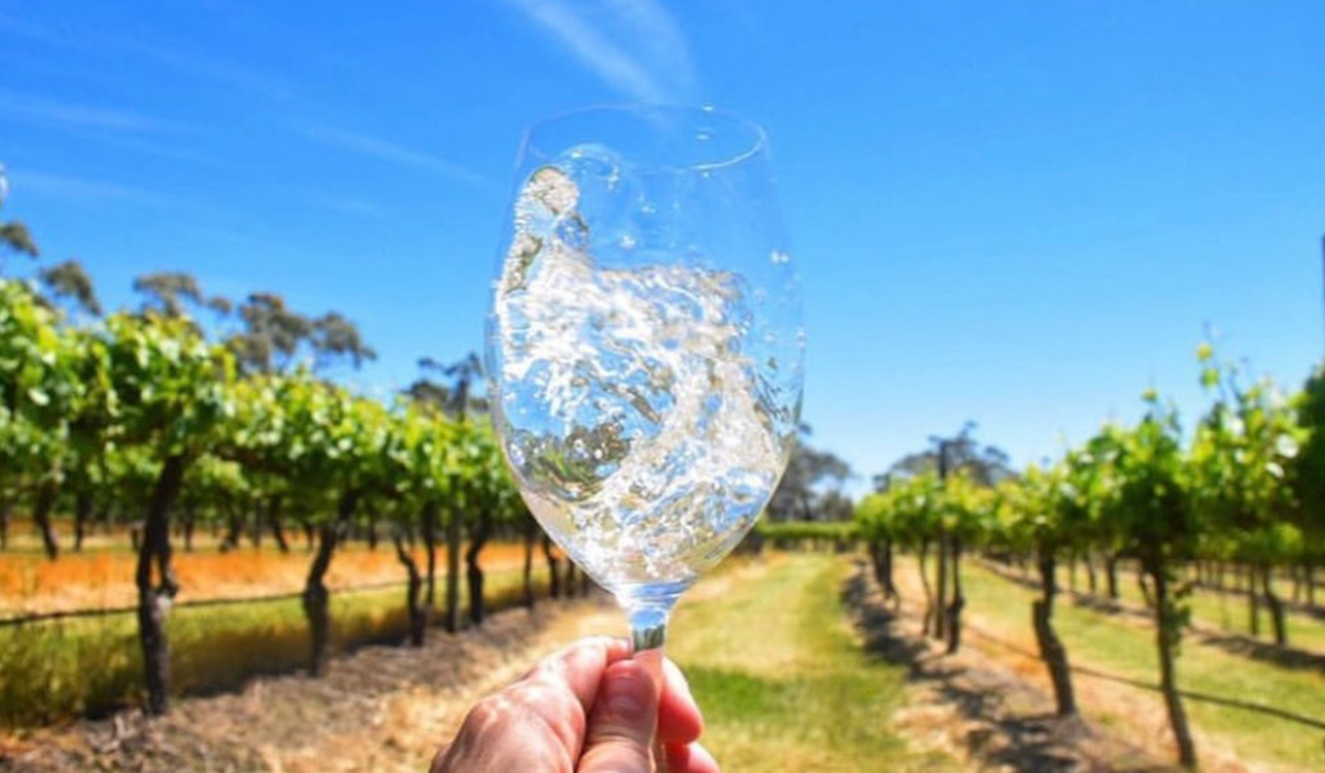 Glass of pinot gris