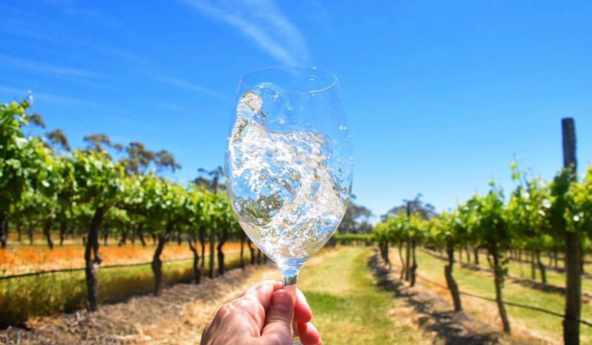 A glass of riesling being held in the vineyard