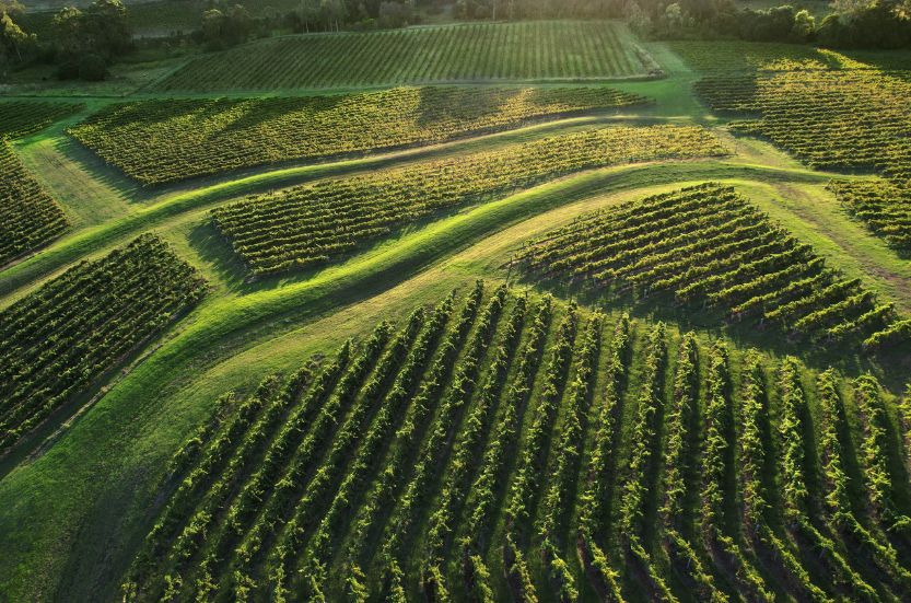 The 2025 Australian Vintage Chart