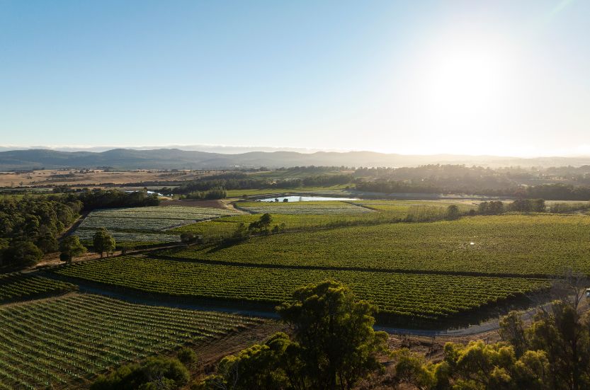 The 2025 Australian Vintage Chart