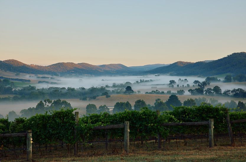 The 2025 Australian Vintage Chart