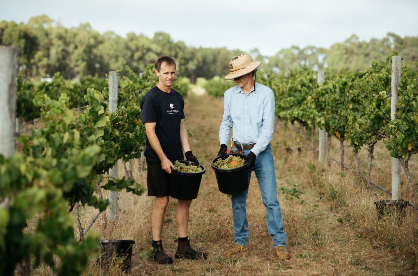 The 2025 Australian Vintage Chart