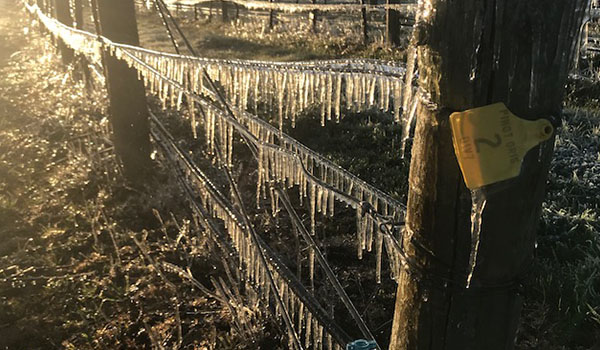 Frost