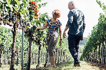 Bill and Jane in the vines