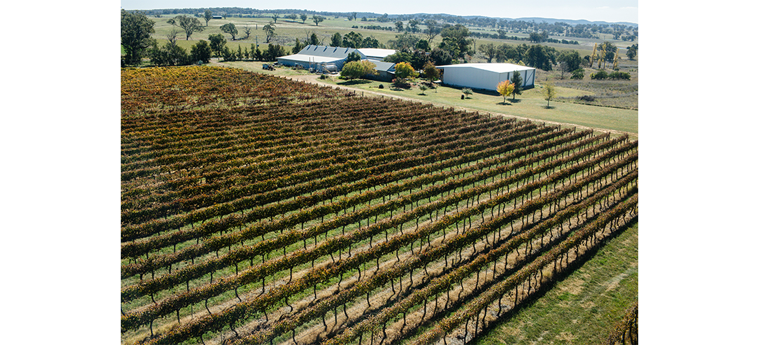 Aerial shot of Printhie vineyard