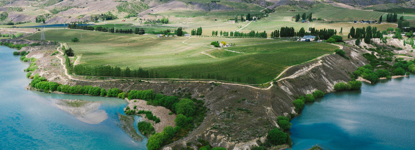 Aerial view of Carrick vineyard grounds