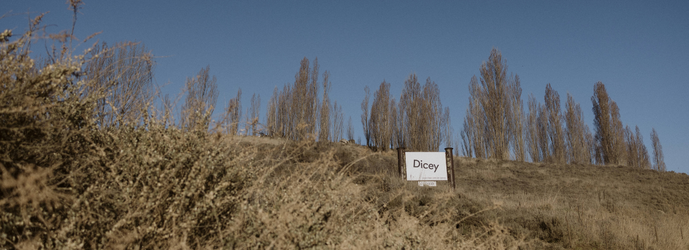 Dicey wines signage