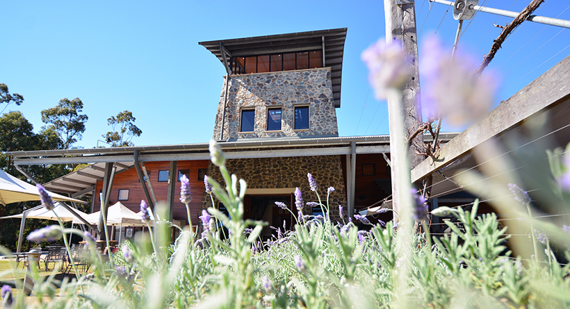 Winery cellar door 