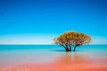 Western Australia Zone