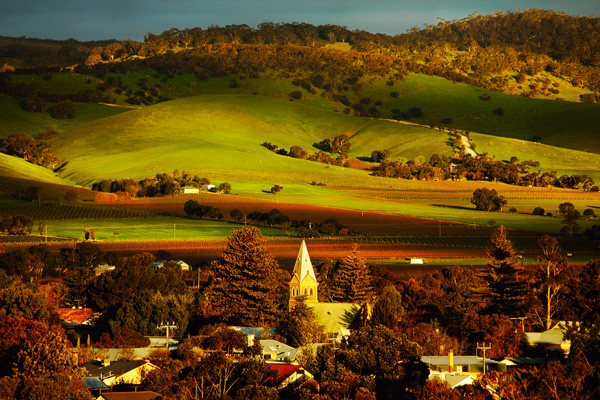 Barossa wine region