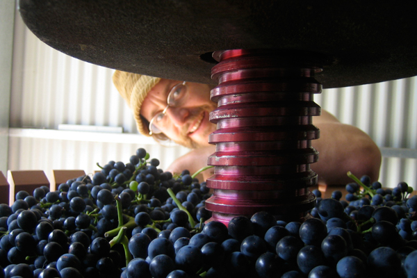 Winemaker Tom Shobbrook 