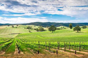 Barossa Valley